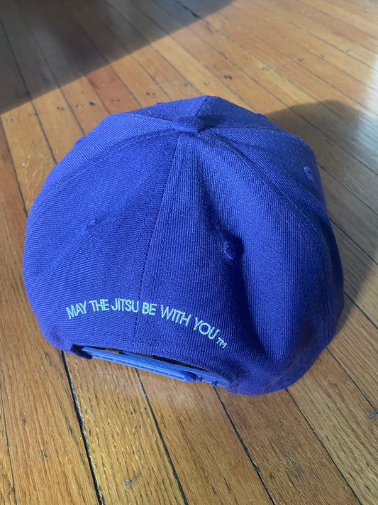 CLASSIC SNAPBACK